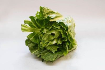 Insalata scarola